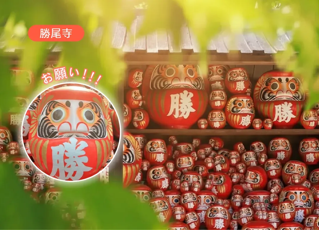 【高雄華航直飛高松】冬雪戀四國關西5日保住洲際.鳴門漩渦.小豆島.嵐山.戲雪趣.清水寺.不倒翁勝尾寺.燒肉吃到飽-8