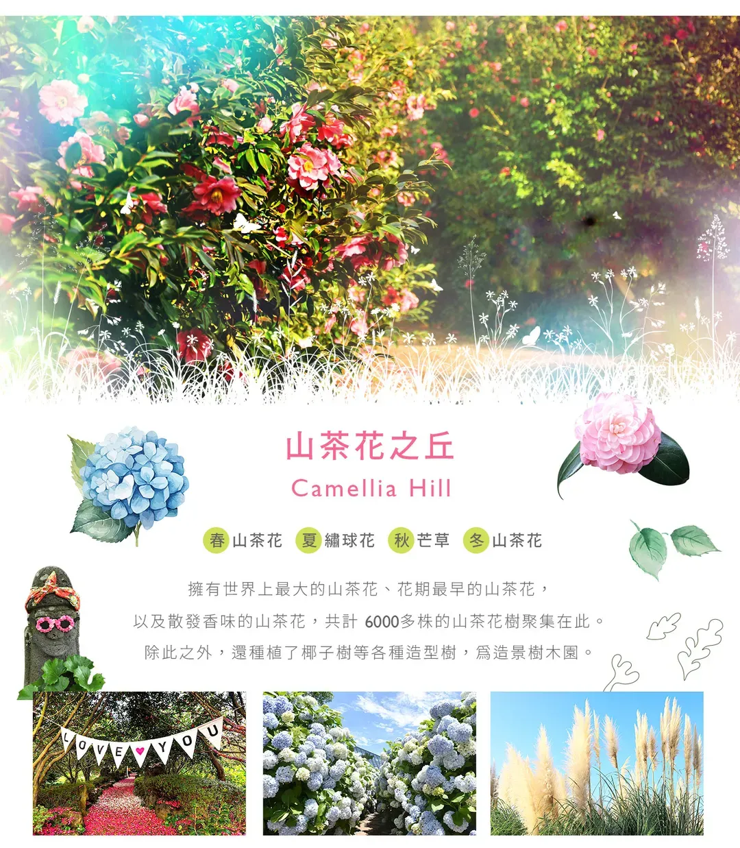 【不進人蔘保肝．濟州秋楓5日】漢拏山賞楓、粉黛亂子草、烤白帶魚、倫敦貝果[含稅]-5
