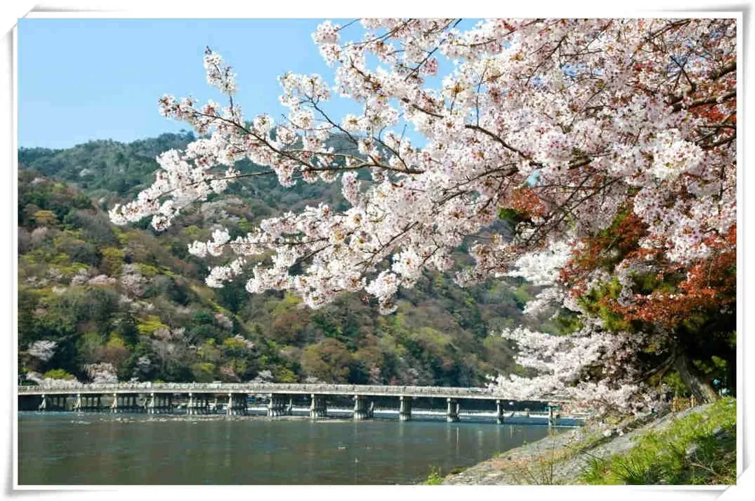 嵐山故事旅行