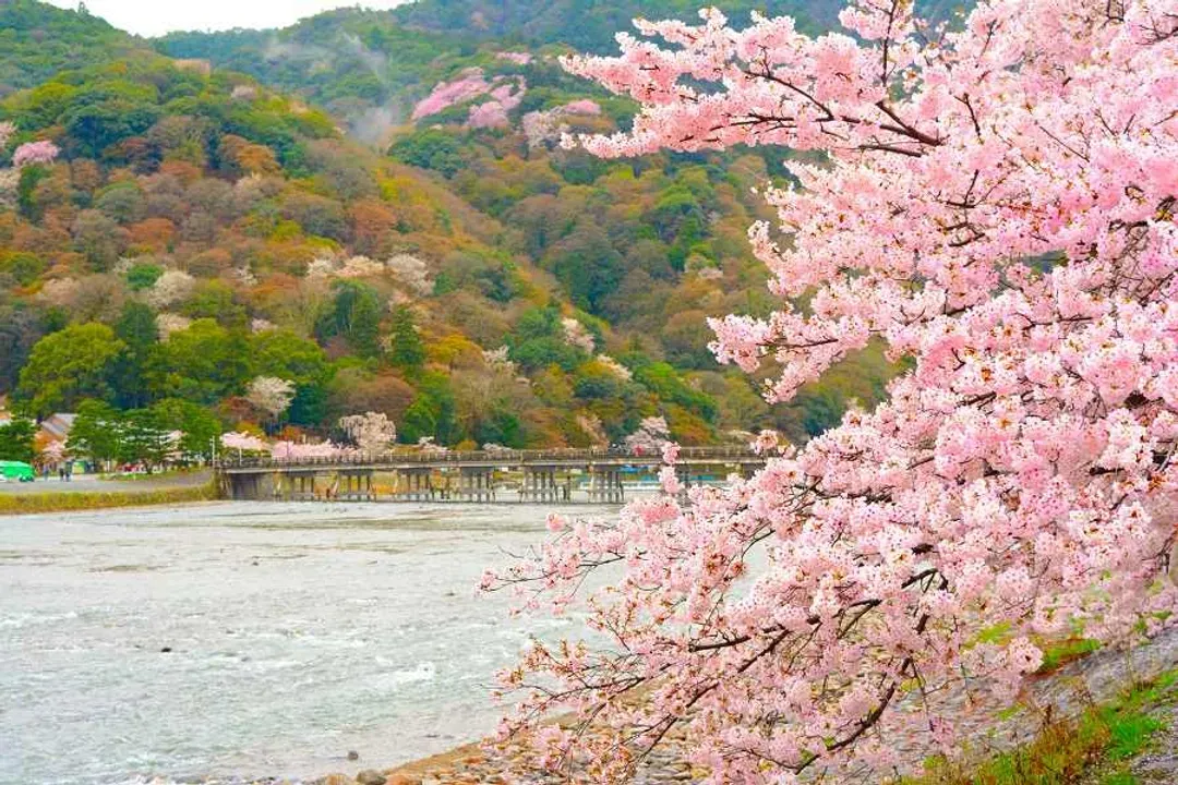 嵐山故事旅行