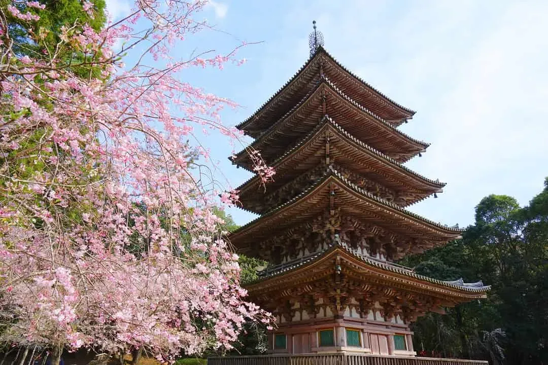 京都風情最愛