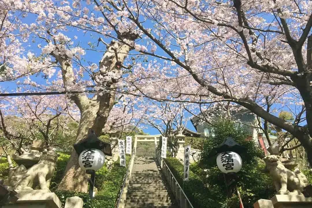 北野天滿宮-神戶港灣美景