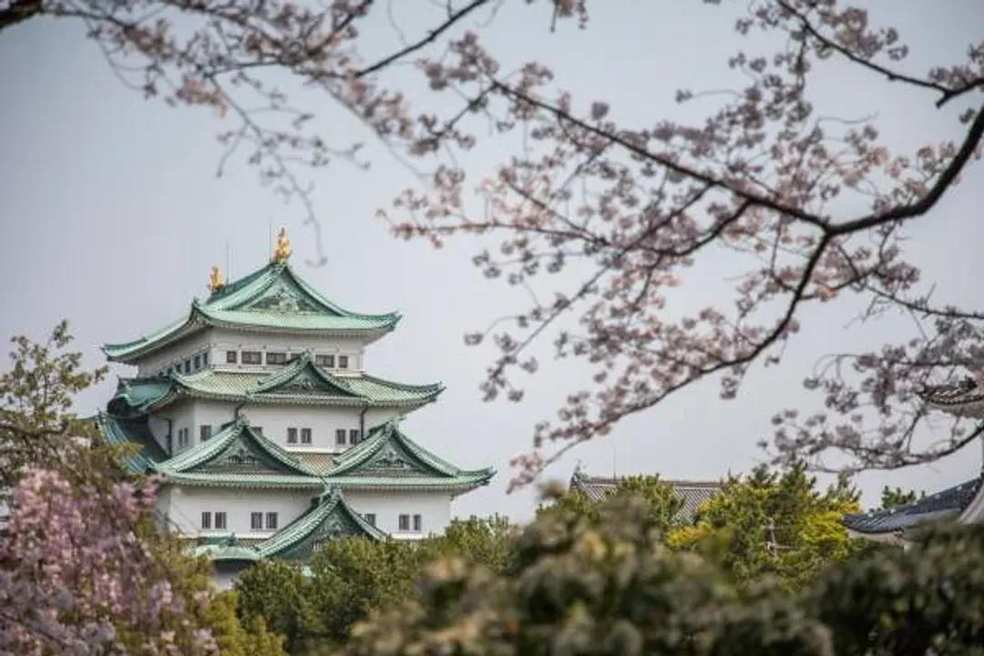 花現雪壁傳奇～立山黑部、粉漾花桃之里、彩虹三方五湖、兼六園溫泉鄉五日-7