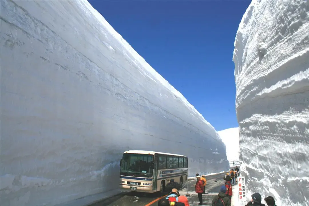 立山黑部阿爾卑斯山脈路線、雪之大谷