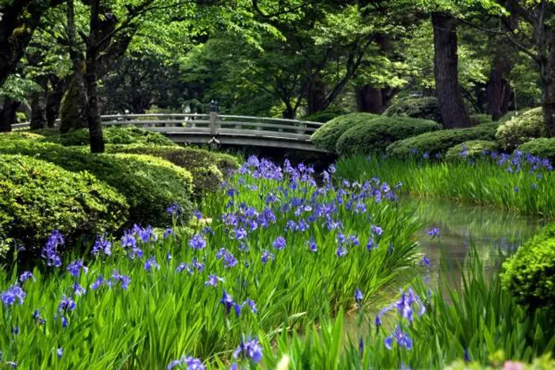 金澤兼六園
