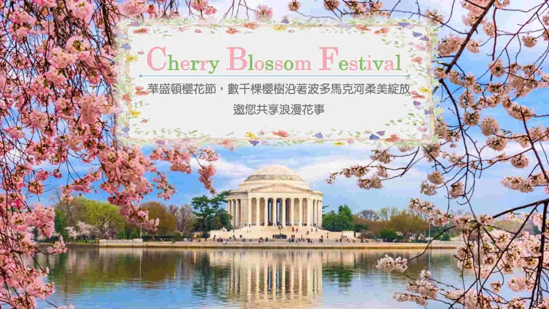 華盛頓櫻花節(3/20-4/11)