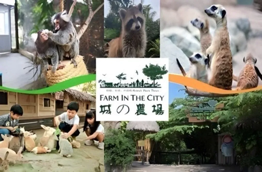 城市互動農場