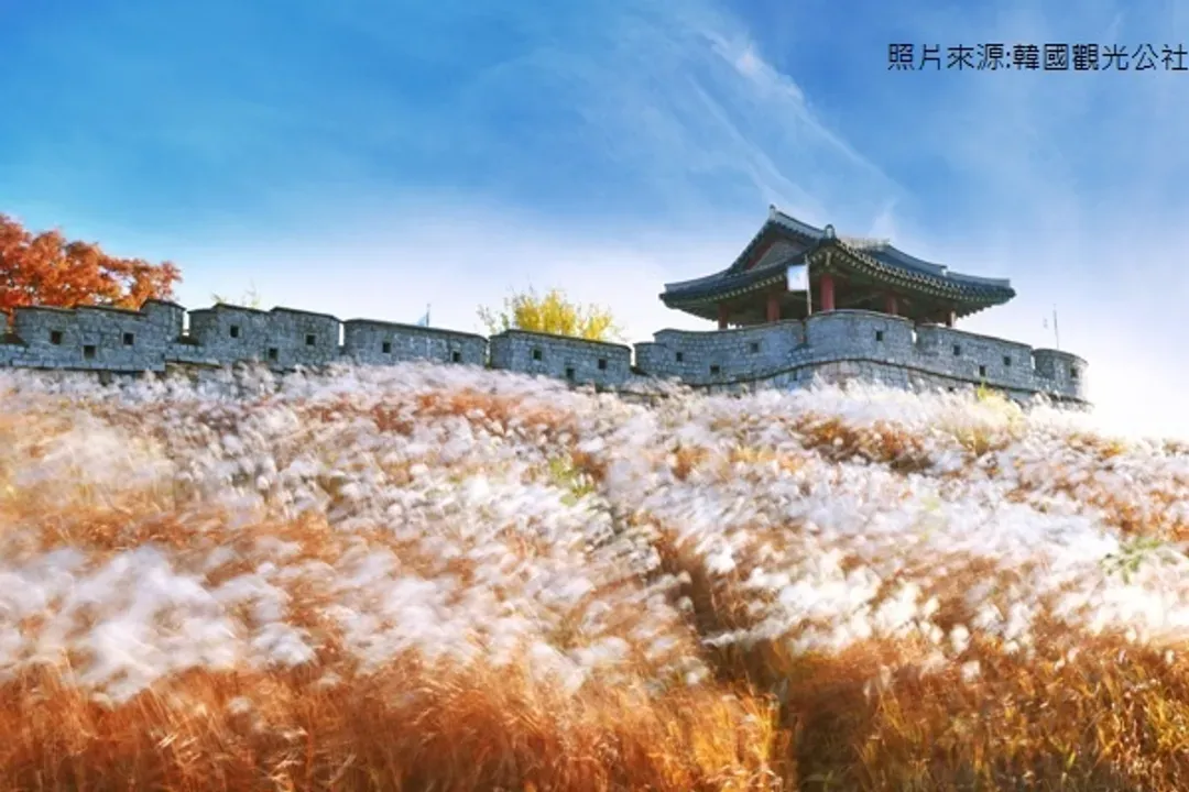 水原華城-衣袖紅鑲邊拍攝地