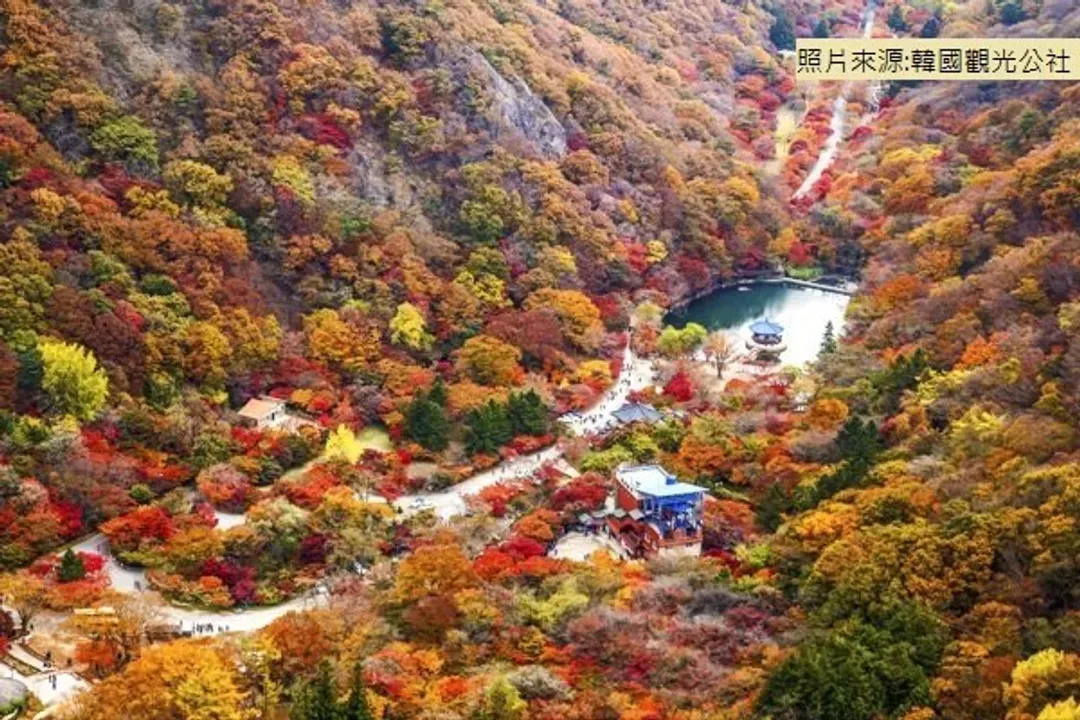 韓國賞楓大三元～秘境內藏山、大芚山纜車、楓景雞龍山、牙山銀杏道、星空圖書館五日