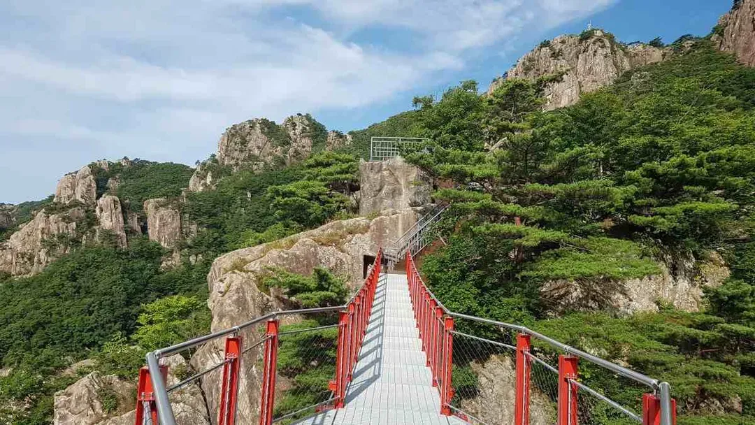 大芚山道立公園(龍門纜車+金剛排雲橋+風雲階梯)