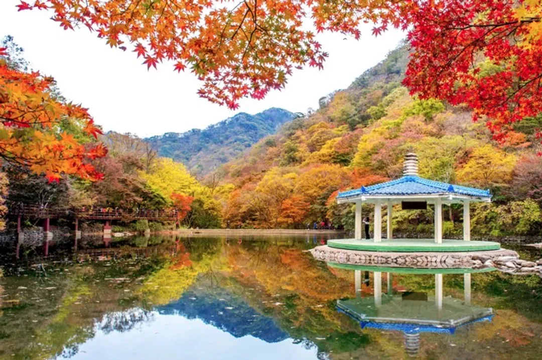 內藏山國立公園(賞楓)
