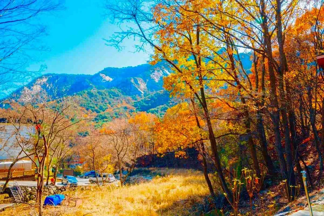 雞龍山(賞楓)