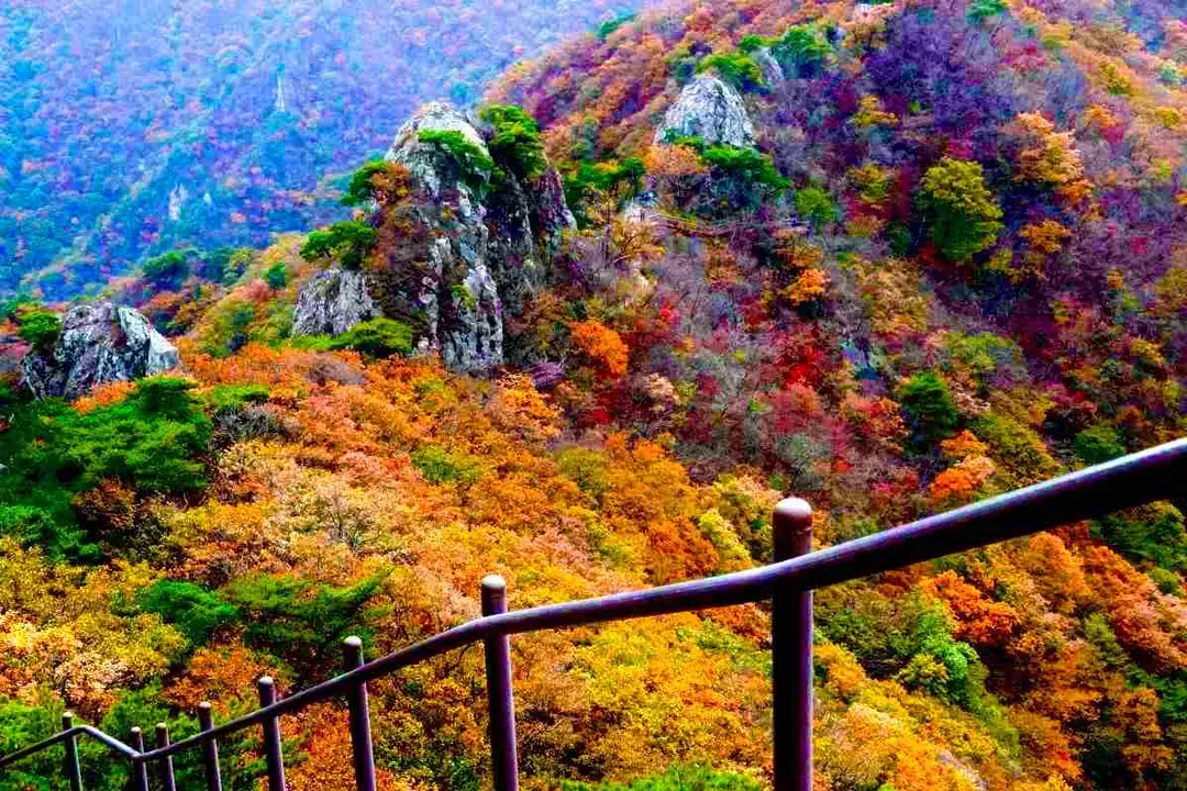 雞龍山(賞楓)