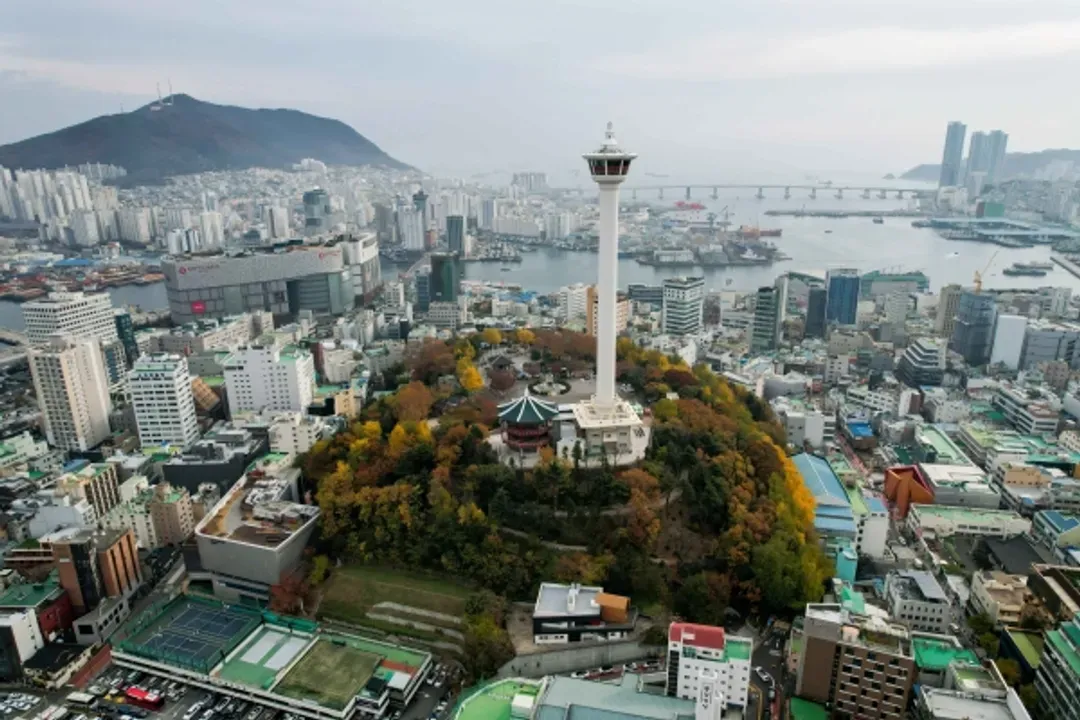 龍頭山公園+鑽石塔(秋季)-釜山楓葉銀杏賞