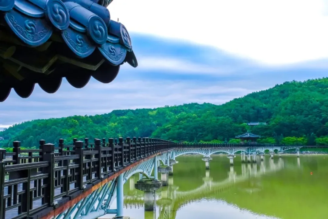 釜邱發燒賣~楓葉銀杏賞、安東河回村、海岸觀光列車、韓屋烤肉餐廳五日-7