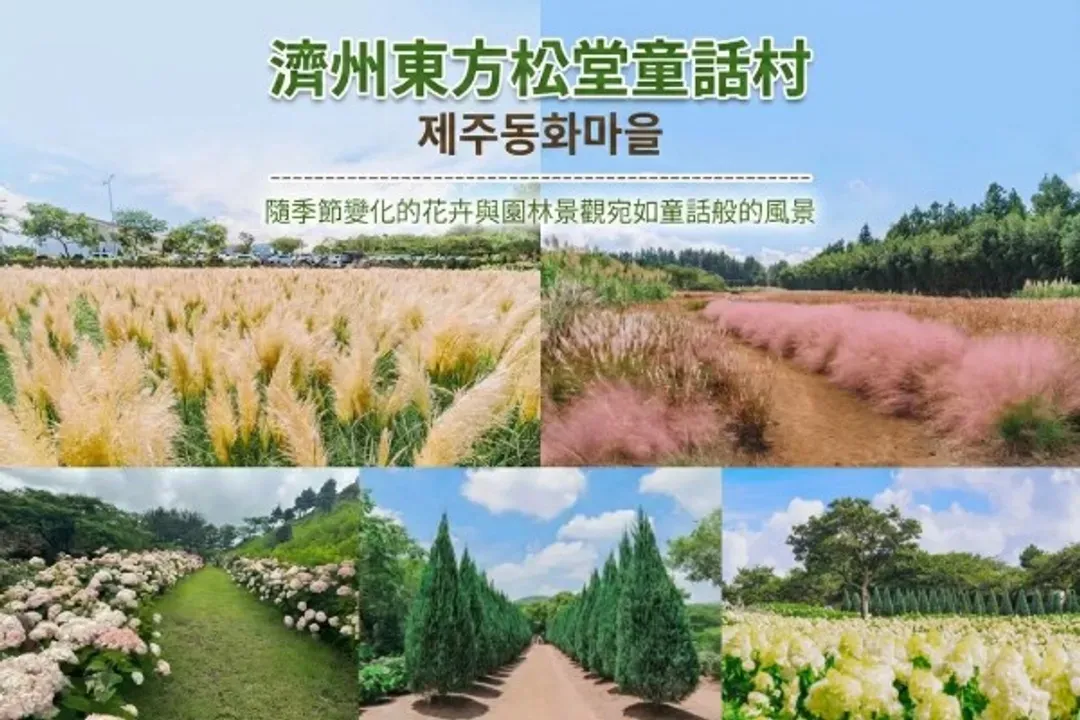 濟州松堂童話村主題花園-濟州東方松堂童話村(萌趣吉卜力+典藏星巴克)：熱門打卡景點