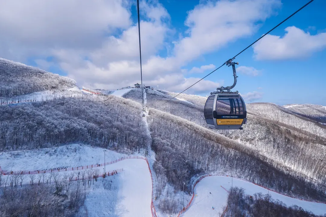 【首爾/仁川機場 - High1度假村】滑雪季接駁巴士｜2026/12月-2027/2月營運-7