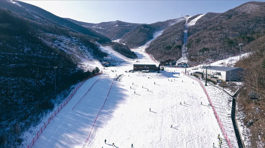 【首爾/仁川機場 - High1度假村】滑雪季接駁巴士｜2026/12月-2027/2月營運-6