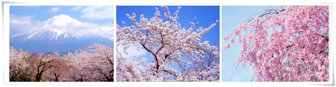 undefined-2