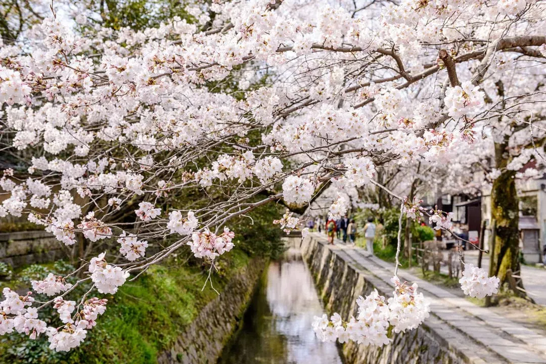 哲學之道