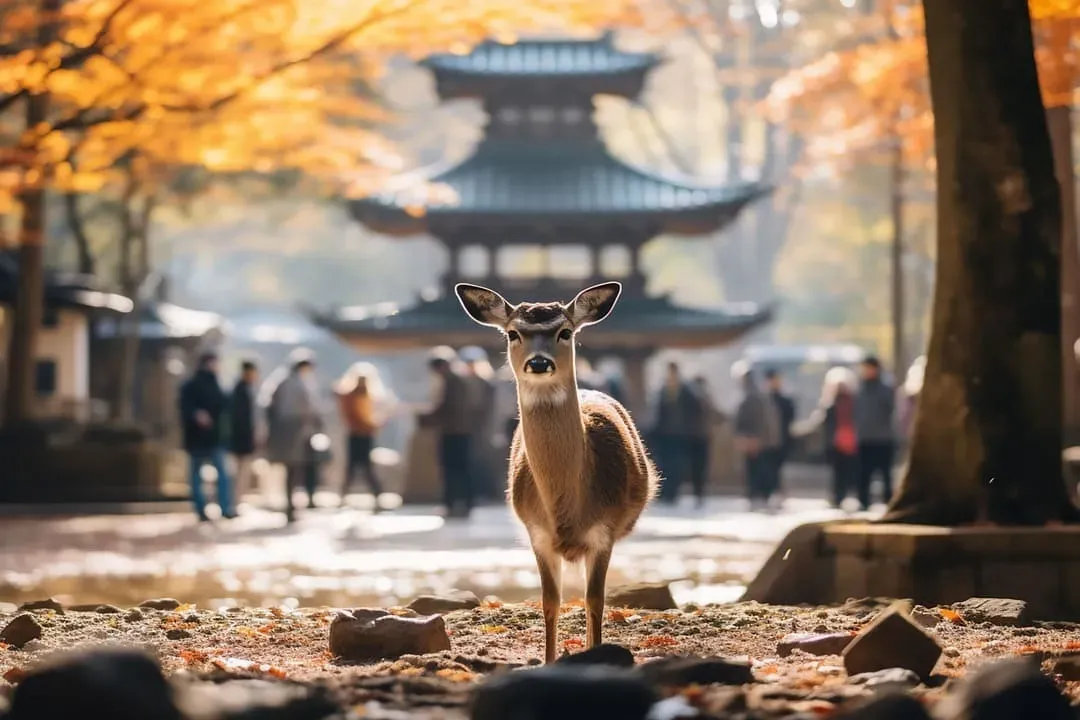 東大寺
