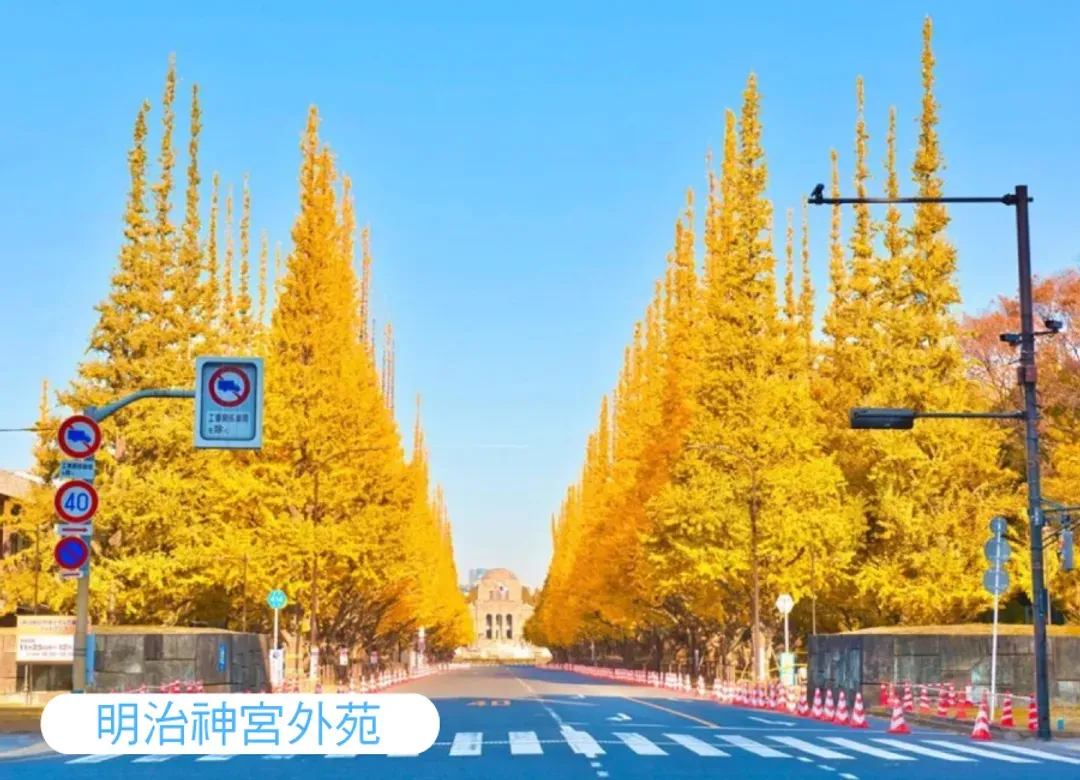 紅葉限時快閃東京溫泉5日.入住一晚輕井澤溫泉.高尾山纜車.川越老街.明治神宮外苑.燒肉.涮涮鍋吃到飽