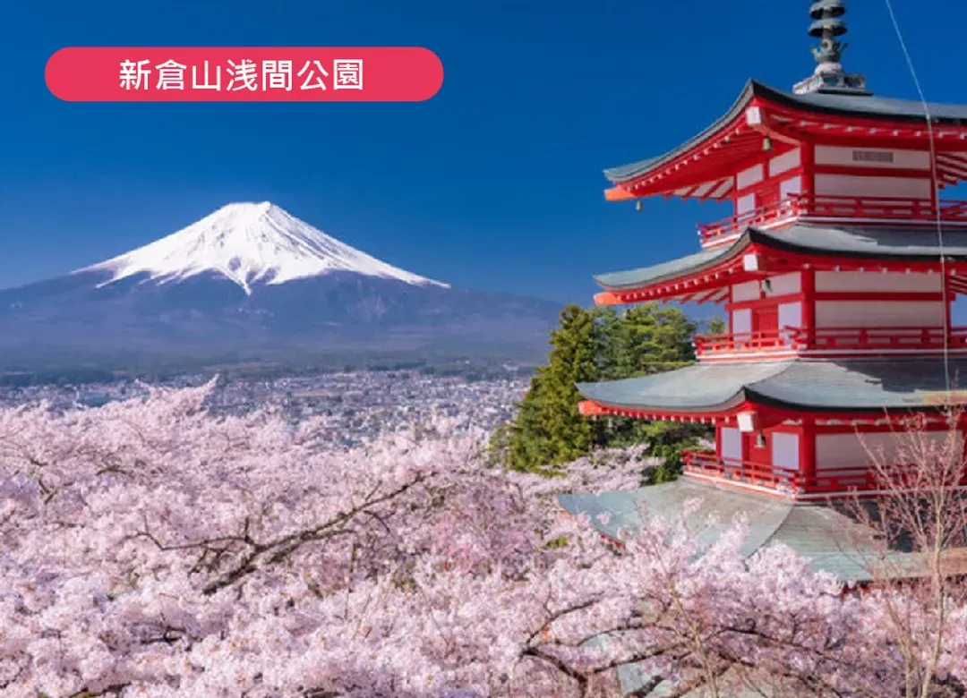 【櫻戀富士・東京限定】高雄直飛賞櫻6日.富士山櫻花大道.淺間神社.千鳥之淵.御殿場賞櫻.採草莓.敘敘苑燒肉.螃蟹吃到飽