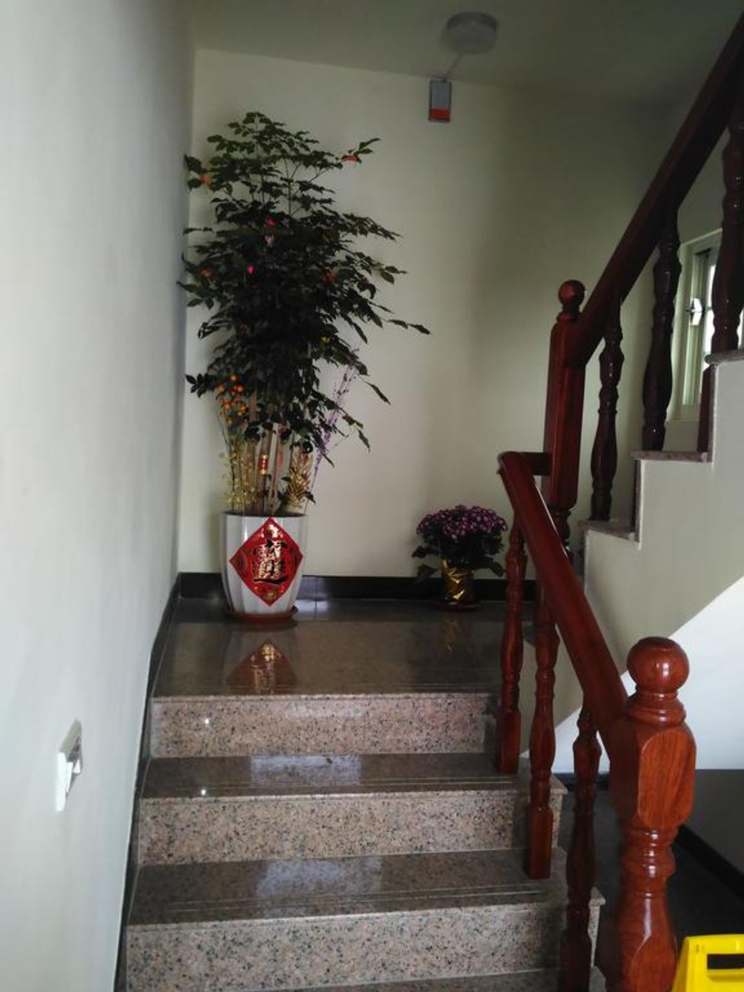 Jin Yi Fu Homestay