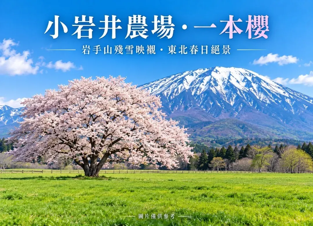 【櫻戀秋田】春櫻雙溫泉４日.弘前櫻花.角館枝垂櫻.秘境鐵道.銀河星空纜車.採草莓.田澤湖(不進免稅店)-5