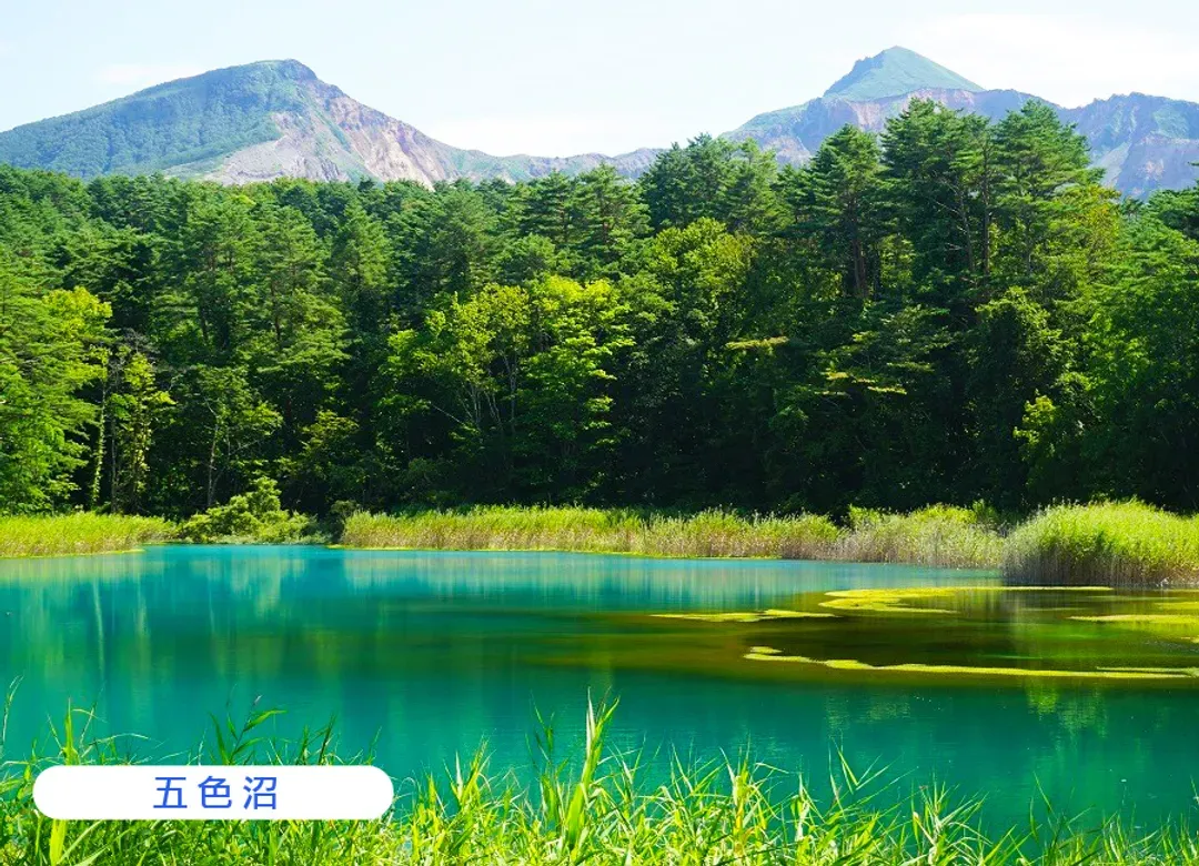 花現東北百選櫻花雙溫泉5日.夢幻浪漫會津鐵道.採草莓.大內宿.秘境銀山溫泉街.二本松.船岡城址.松島遊船(新潟進仙台出)-6