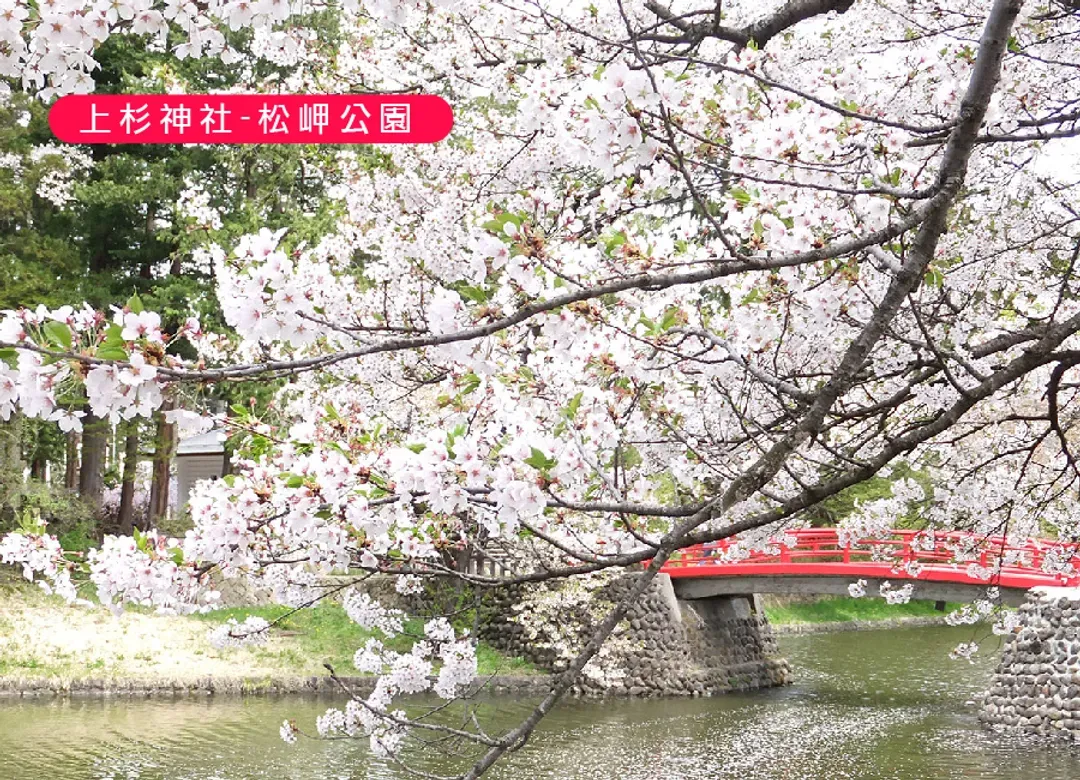賞櫻花現東北雙溫泉5日.夢幻浪漫會津鐵道.採草莓.大內宿.秘境銀山溫泉街.櫻花百選.米澤和牛(新潟進出)-5