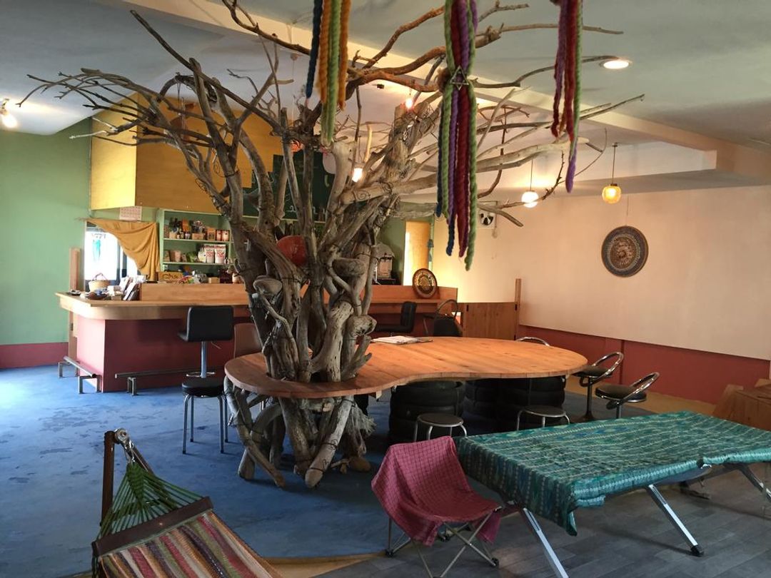 Organic Guest House & Cafe