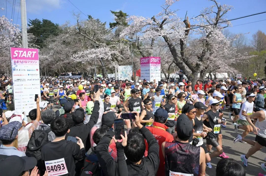 2026 青森櫻花馬拉松