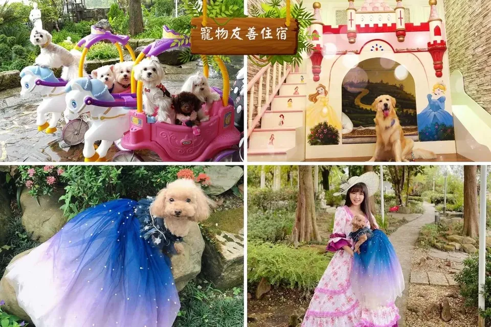 芯園~我的夢中城堡｜宜蘭童玩節寵物友善住宿推薦-民宿 / 公寓