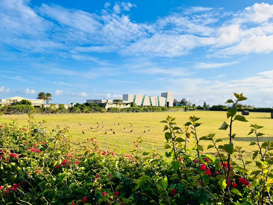 서머랜드 가든 리조트  (SUMMERLAND GARDEN RESORT)