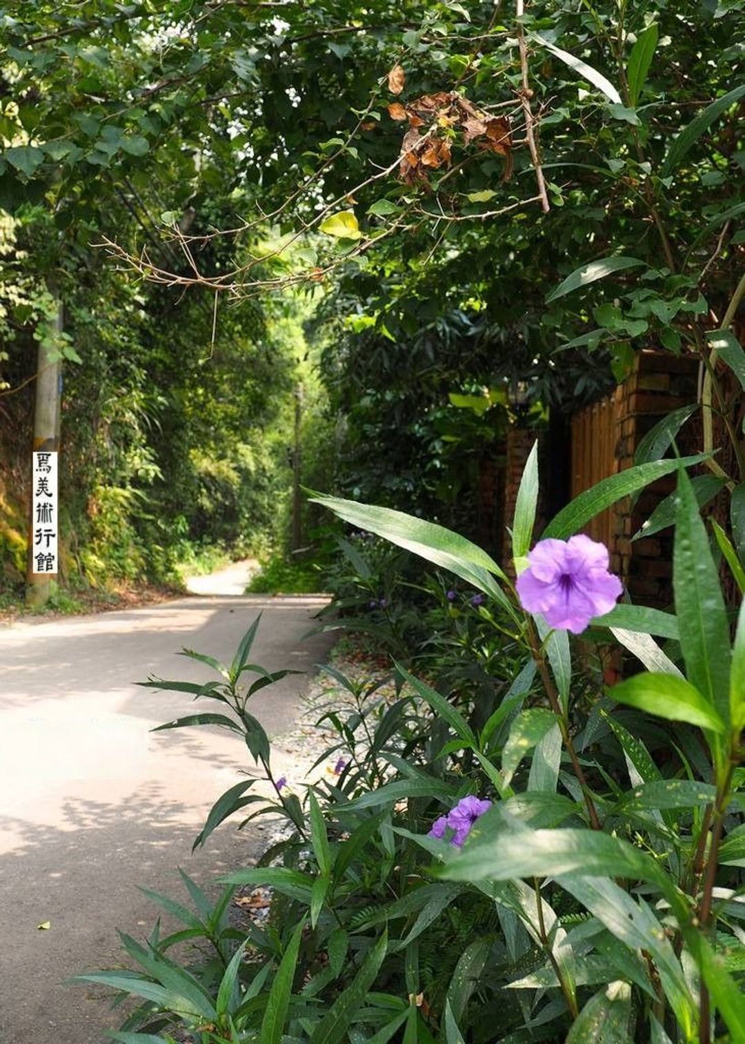 焉美術行館 | 可選購6-10人苗栗包棟-15