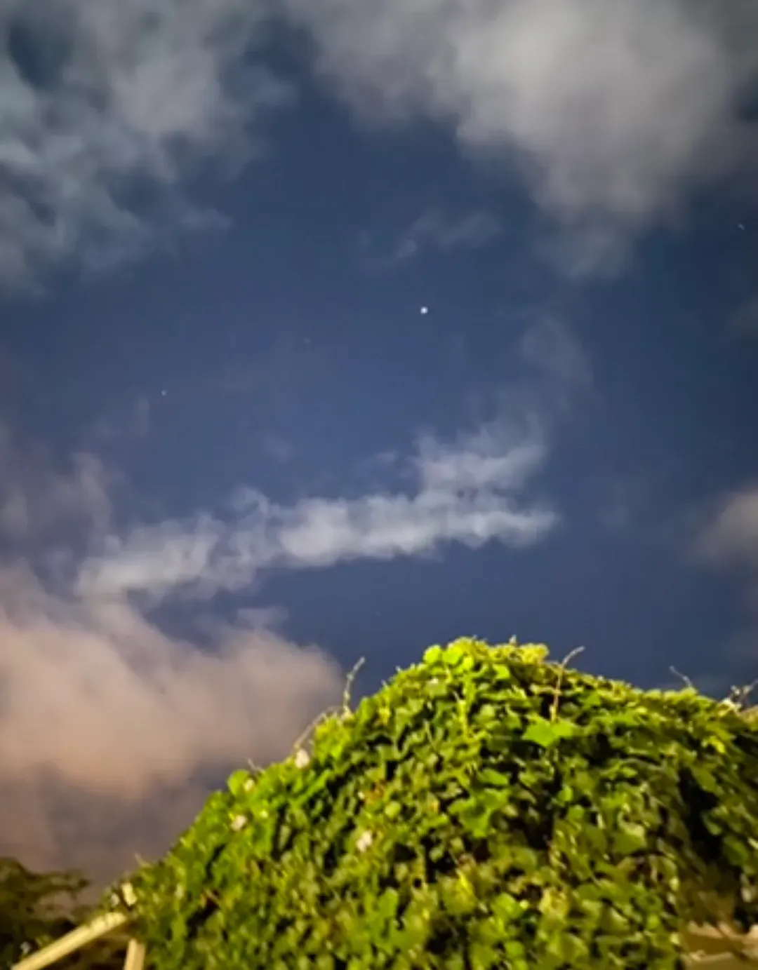 太魯閣立霧左邨景觀民宿(花蓮合法證記1331號)|太魯閣國家公園區內-13