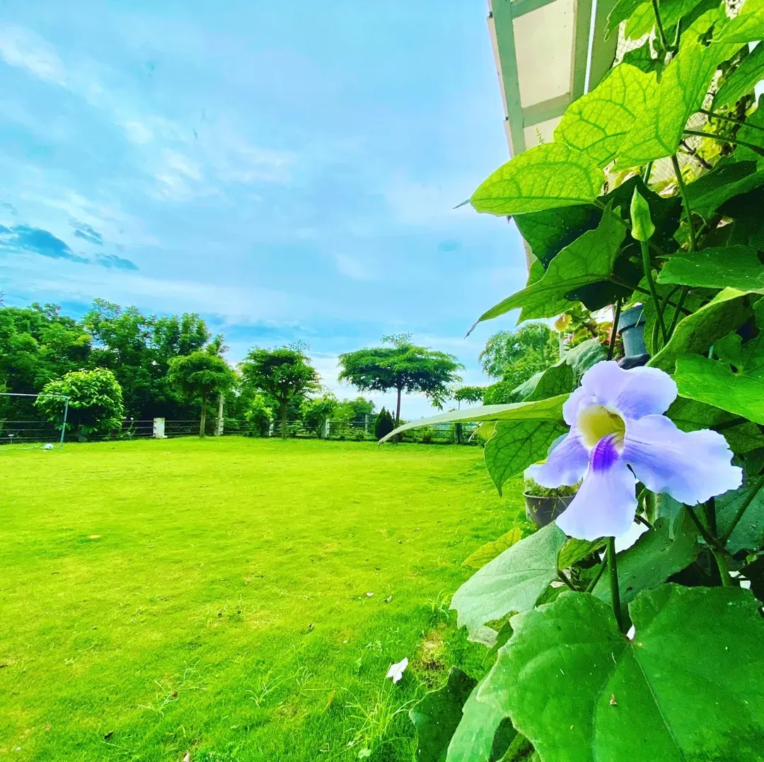 太魯閣立霧左邨景觀民宿(花蓮合法證記1331號)|太魯閣國家公園區內-14