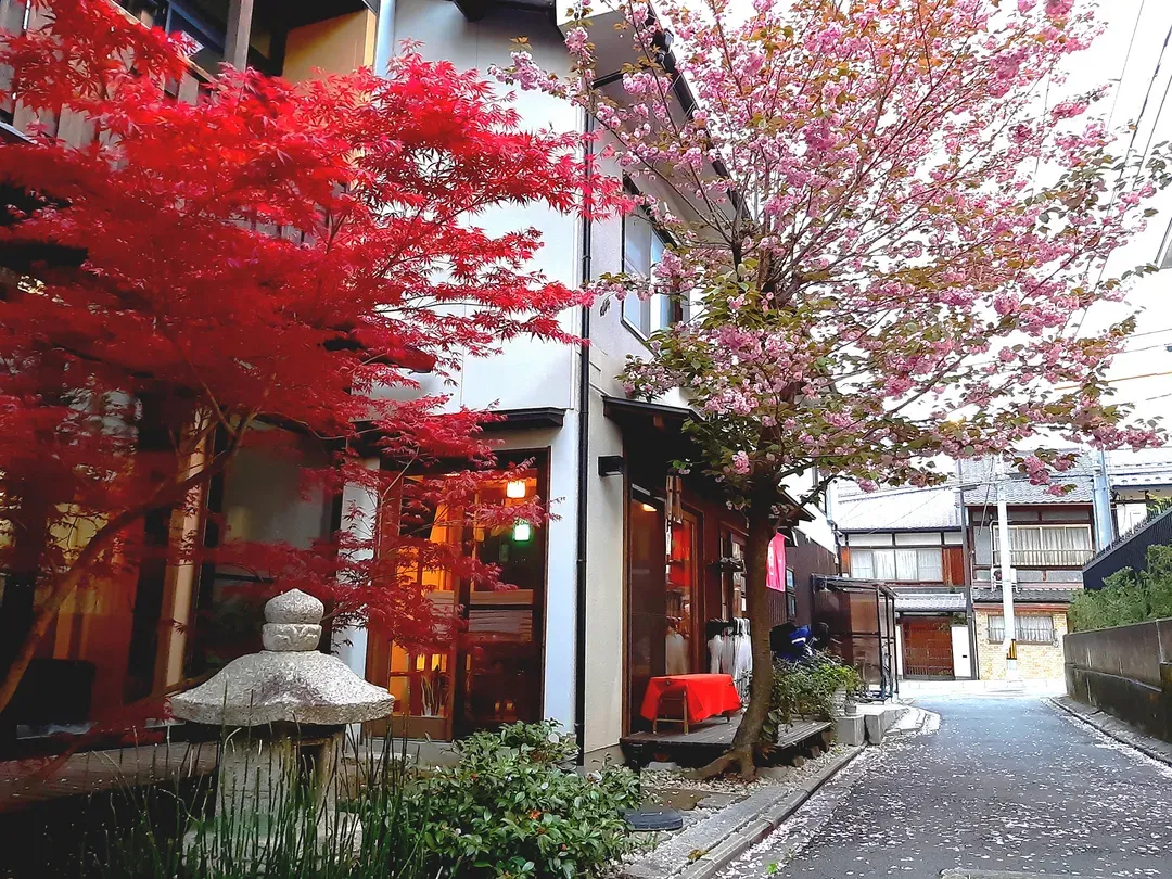 京都府-素居旅館