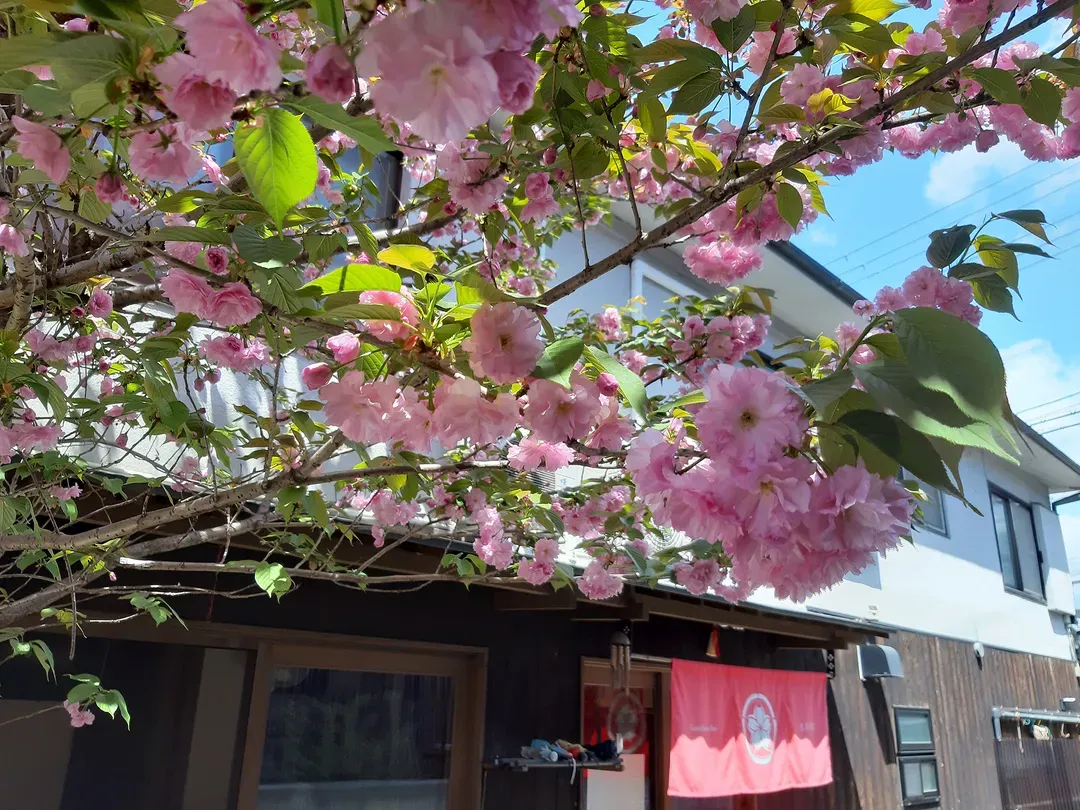 素居旅館-3