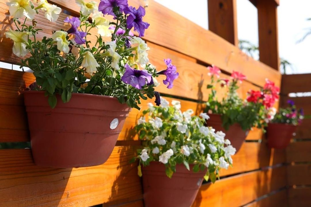 吉美民宿|親子友善|鞦韆&兒童遊戲區-2