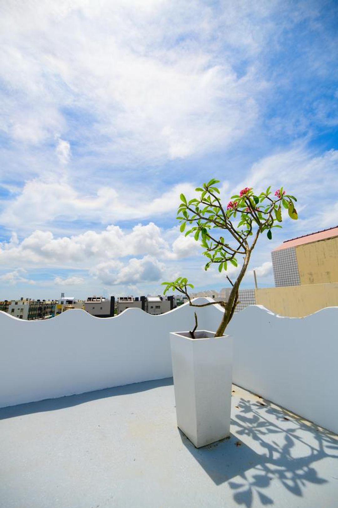 Summer Sea Hostel