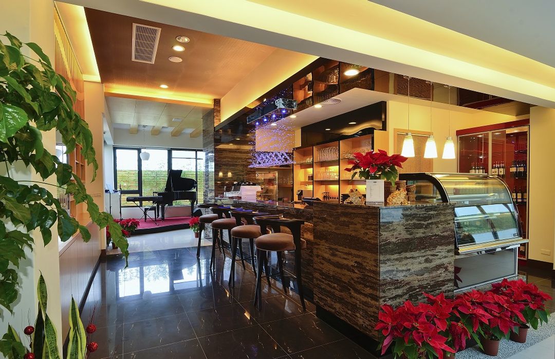 Hotel Modern Puli-8