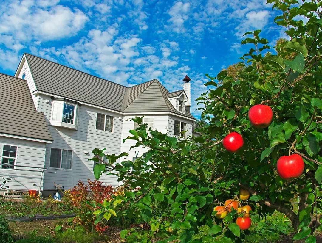 Guest House Itoh