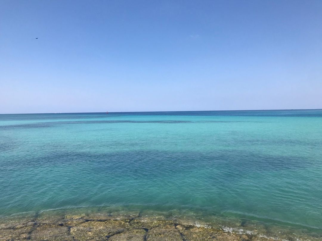附近的海