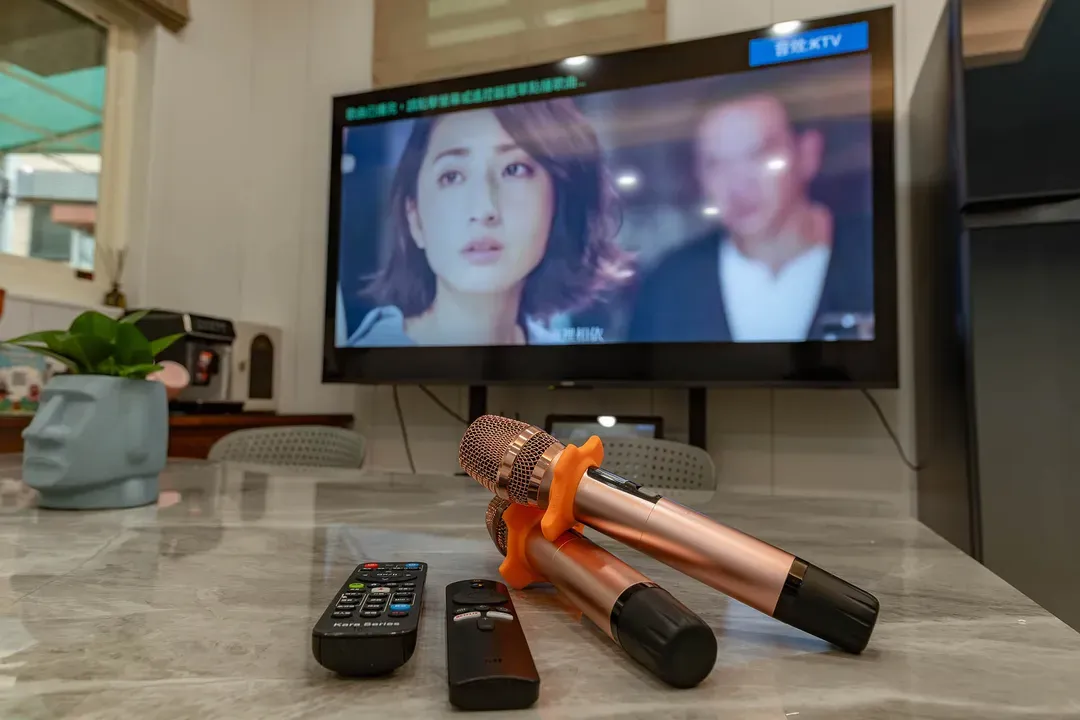 椰風時尚民宿｜花蓮6-18包棟｜KTV、麻將｜寵物友善