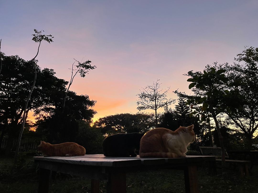 墾丁夏綠地民宿｜墾丁國家森林遊樂區旁