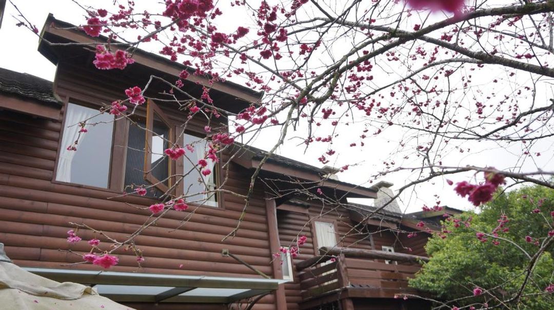 Sakura Villa