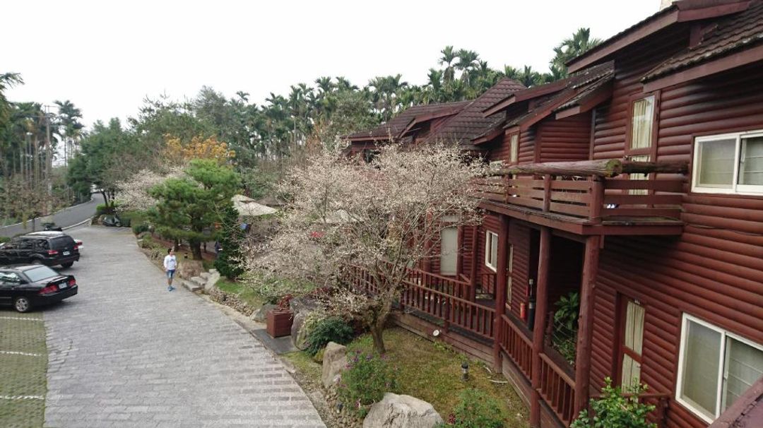 Sakura Villa