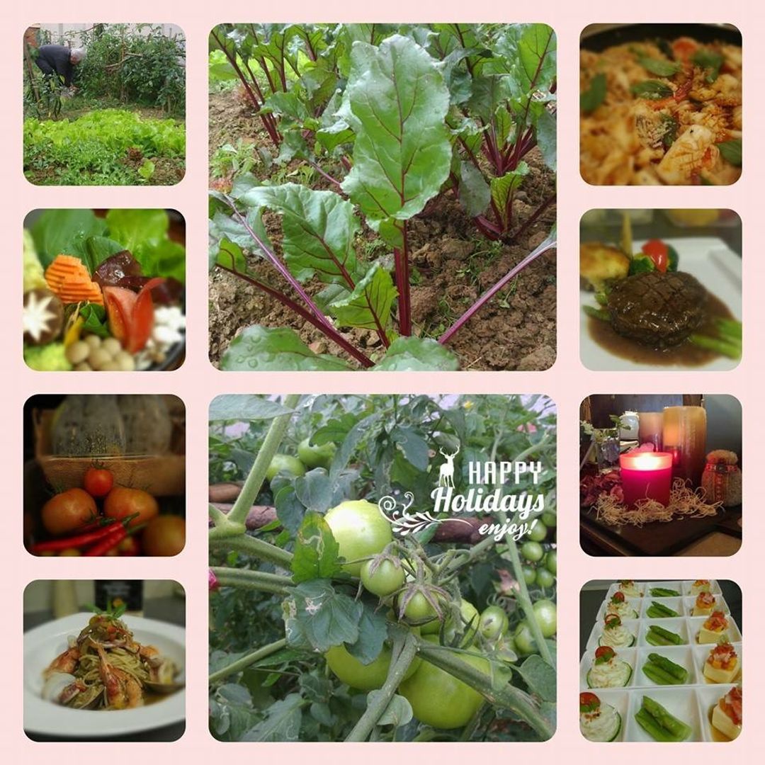 Grace House Homestay